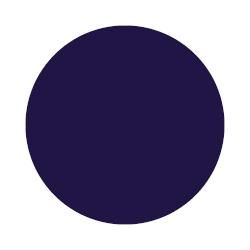 CDU primary blue