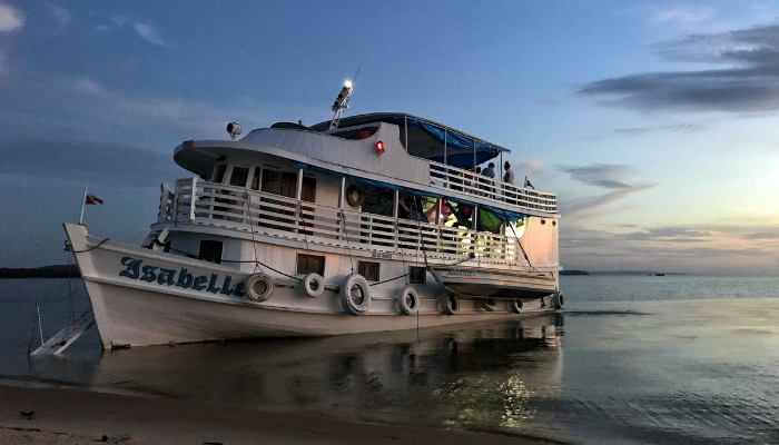Cruise boat on the river