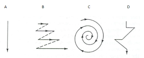 This image has A: a straight line, B: a zig zag line, C: a line going in a circle and D: a jagged line