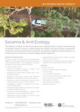 Savanna and arid ecology flyer thumbnail