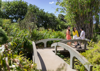 Diverse international students talking in a lush garden