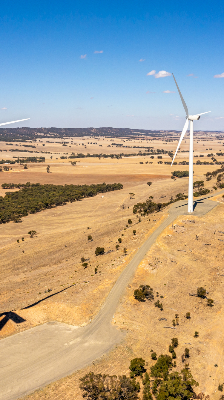 renewable-energy