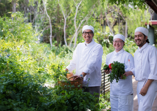 students in a herb garden
