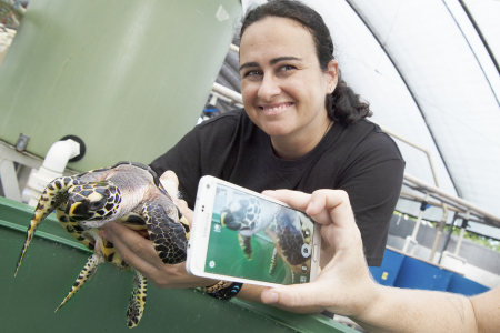 World Turtle Day