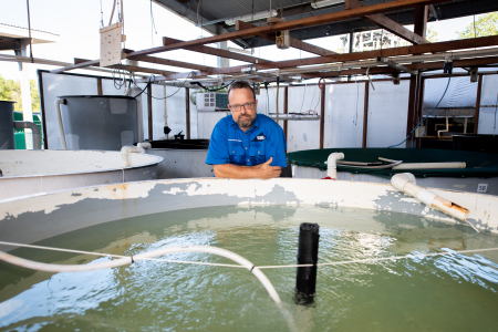 aquaculture-lecturer-morris-pizzutto