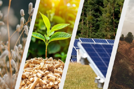 solar-biomass