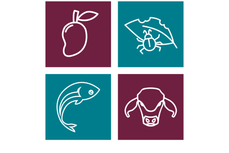 composite image of 4 RINA research areas logos