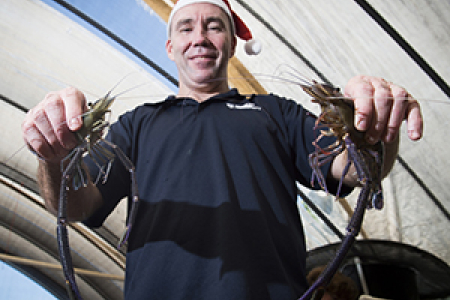 Chadd Mumme recommends eating locally caught fish for Christmas