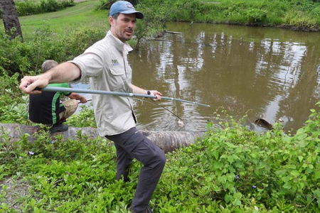 CDU Outstanding Professor Sam Banks is mapping the genetic diversity and movement of crocodiles across northern Australia and southeast Asia