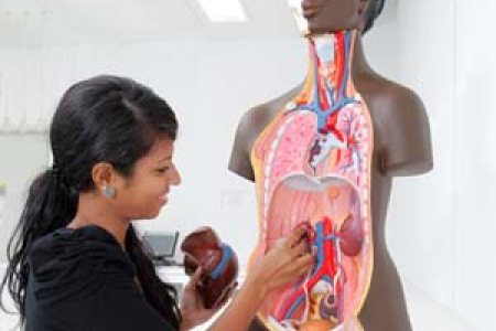 CDU congratulates first NT trained doctors