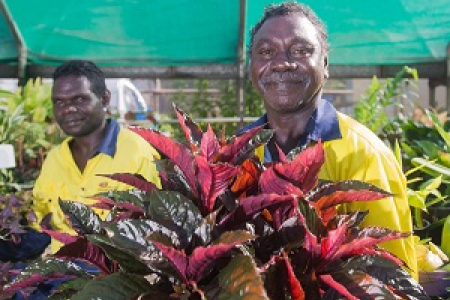 The Tiwi Islander students observed horticultural industries around Darwin. From left: Jeremiah Black and Paul Ullungura