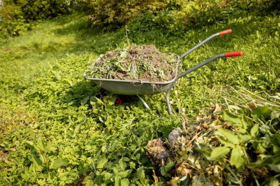 Sustainability news  