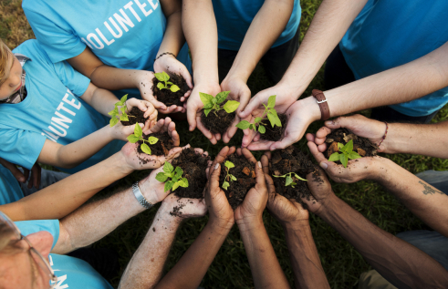 envirocollective