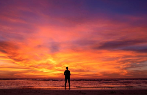 Darwin at sunset