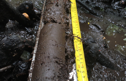 Soil 