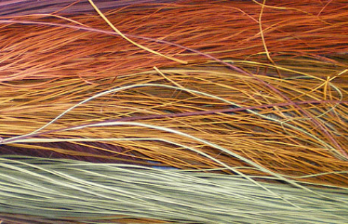 Header image for the Language page