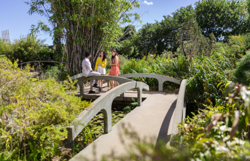 International student group at Chinese garden