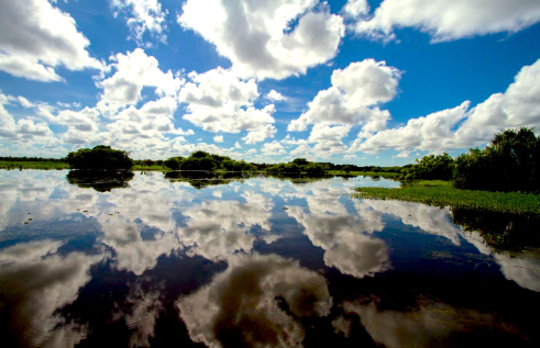 water with trees around it and bright blue sky and clouds reflected in it