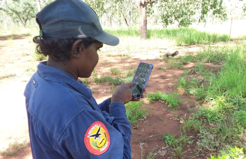 Mimal Land Management Ranger, Everlyn Mardi uses the new NAFI app in central Arnhem Land