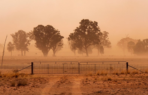 drought
