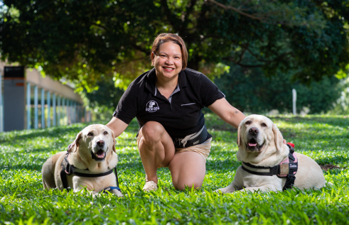 therapy-dogs