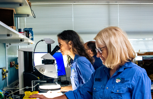 Research Institute for the Environment and Livelihoods scientists at CDU plan to start a citizen science project that is one of the largest groundwater studies in the world.