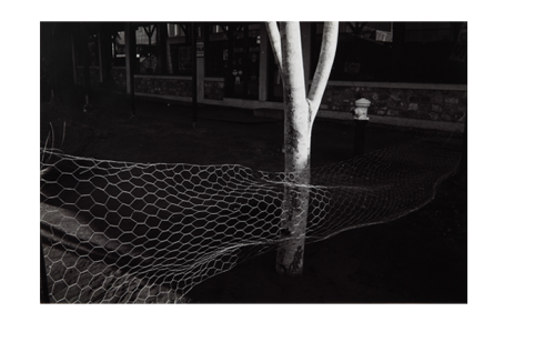 PAUL HOPPER “Urban image series, Darwin”, 1980 Photograph 19.9 h x 30.3 w cm [image] 26.5 h x 35.4 w cm [paper] Acquired through the CDU Art Acquisition Fund, 1980 Charles Darwin University Art Collection, CDU4