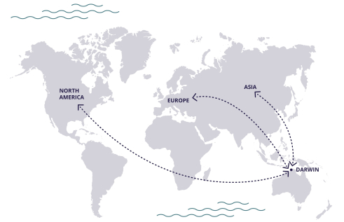 World Map
