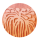 Northen institute graphic