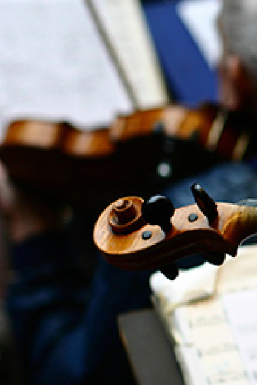 violin