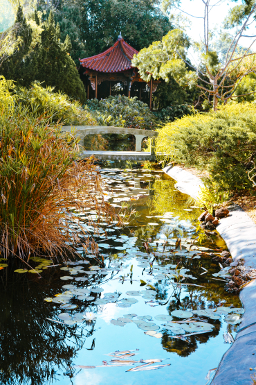 Chinese garden water feature